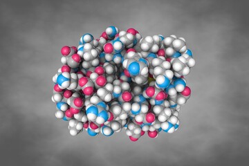 Human intestinal fatty acid binding protein. Atoms are shown as spheres with conventional color coding: carbon (grey), oxygen (red), hydrogen (white), nitrogen (blue), sulfur (yellow). 3d illustration