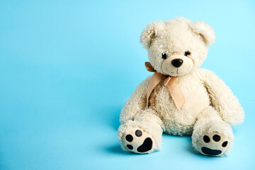 White Teddy bear on a blue background with copy space