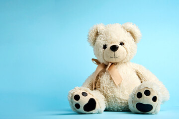 White Teddy bear on a blue background with copy space