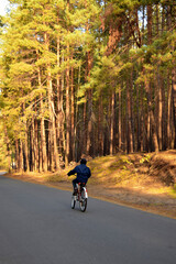 Tourism. A man on a bicycle rides along the road passing through the autumn forest. Tourism