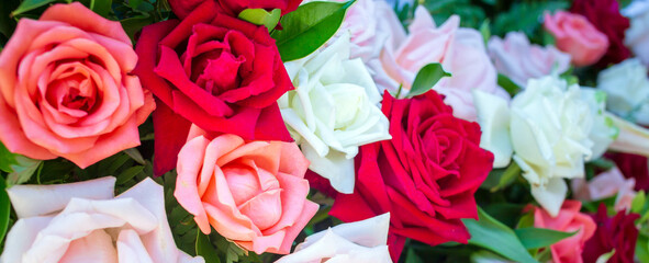 Colorful fresh roses or multi-colored roses background. A beautiful bouquet of roses for valentines