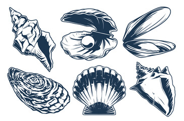 Sea shells set monochrome elements