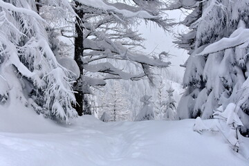 Zima w Tatrach, śnieg, mróz, zaspy, TPN, góry,  - obrazy, fototapety, plakaty