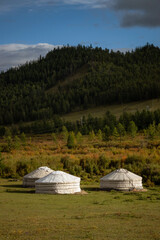 Yurt camp surrounded by trees on the ridge of the mountain. Small ger huts on the crest of the hill on a sunny day.