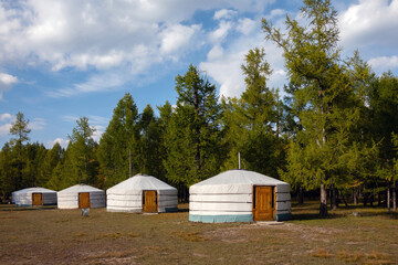 Fototapeta na wymiar Yurt camp on a beautiful sunny day in Mongolia. Ger campsite in rural country, nature in the background.