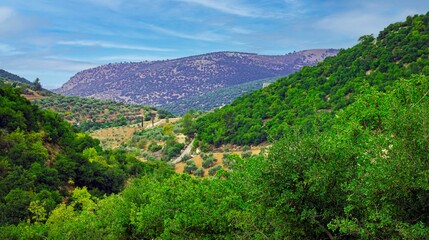 Fototapeta premium وادي عجلون- الاردن- Ajlune valley- Jordan