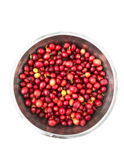 fresh coffee fruits in cup with white background
