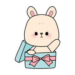 happy birthday rabbit