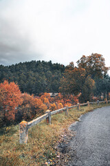 Rural road in mountain, autumn day
