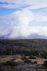 제주도 한라산 백록담