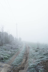 Foggy landscape with a road leading to nowhere