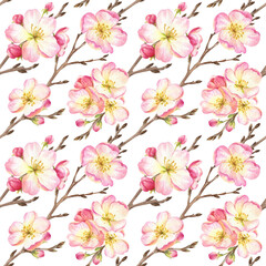 watercolor seamless pattern with branches blooming apple tree