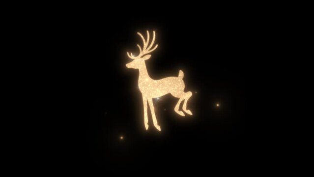 Christmas reindeer isolated on black background, Santa Claus rides reindeer sleigh shinning golden color on white background