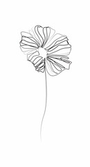 Flower line art. Minimalist contour drawing. One line artwork.