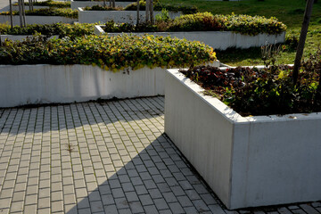 concrete flower pots are on the square. large rectangular containers planted with trees and perennials. exposed concrete, landscaping, 