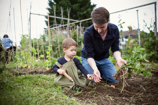 Father and toddler son gardening