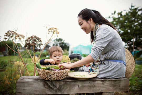 Mother And Toddler Son With Harvested Vegetables In Garden