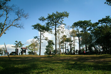 the park in the city