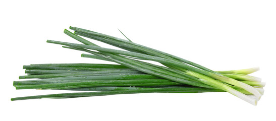 Green onion  on  transparent png