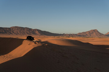 Fototapeta na wymiar Landscape picture of Sahara desert dunes with blue sky, dog sleeping on the sand