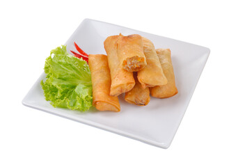 Fried chinese spring roll  for appetizer