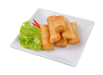 Fried chinese spring roll  for appetizer