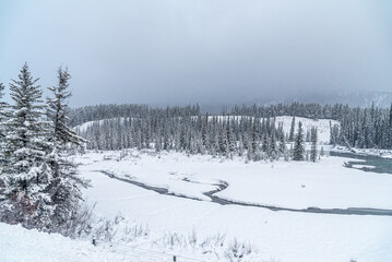 Banff park