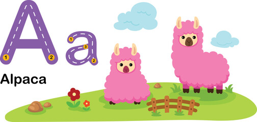 Alphabet Letter A-Alpaca with cartoon vocabulary illustration, vector