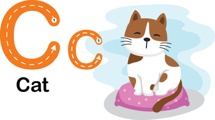Alphabet Letter C-Cat with cartoon vocabulary illustration, vector
