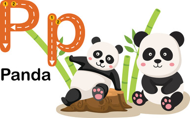 Alphabet Letter P-Panda with cartoon vocabulary illustration, vector