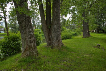 Natural pond in Jesenik in High Ash Mountains,Jesenik District,Olomouc Region,Czech Republic,Europe
