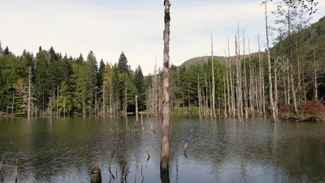 Lake view at Karagol,Artvin,Turkey