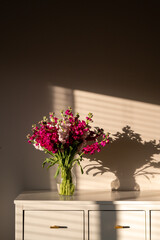 Stock flowers in a glass vase sitting on a table with evening sun and shadows.