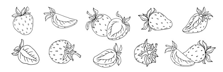 Set of dyed sketches of summer strawberries.Vector graphics.
