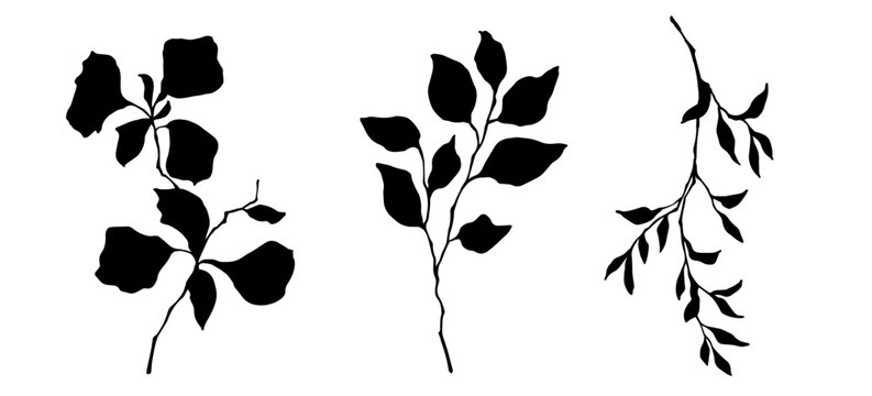 Plant Silhouette Images – Browse 1,459 Stock Photos, Vectors, and Video