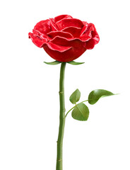 Obraz premium Beautiful rose imitation, cut out for image montages.