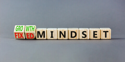 Growth or fixed mindset symbol. Concept words Growth mindset and Fixed mindset on wooden cubes. Beautiful grey table grey background. Business growth or fixed mindset concept. Copy space.