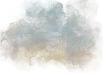 watercolor with transparent background	