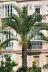 Plaza San Juan de Dios, Cadiz, Andalucía