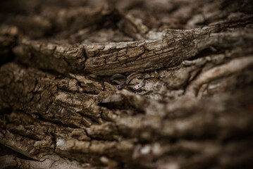 wedding rings in hand. Two wedding rings on the floor with contrast wedding rings on floor, on ground, on piano, in hand on grass or a stones,