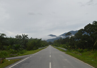 Green Countryside Road