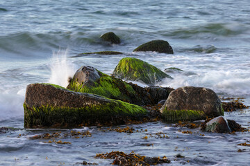 Rocks, splashes and algae