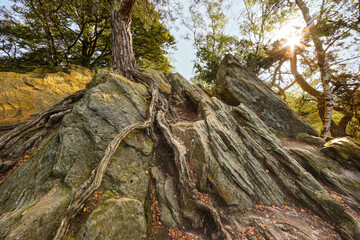 Dörenther Klippen, Teutoburgerwald, Nordreihnwestfalen, kliff