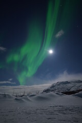 Fototapeta na wymiar aurora in the sky, aurora borealis northern lights