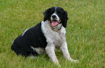 In Memoriam 2022, Jasper, ESS