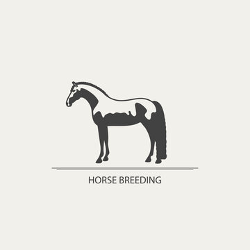 Logo design, horse silhouette, vector