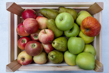 Wooden Crate Box full of Ripe harvested Fruits. Bio organic farm Agriculture concept. Basket with Raw Pears, Green and red apples.