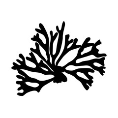 Sea fan coral, black silhouette, illustration over a transparent background, PNG image