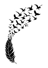 Black feather silhouette with flying birds, illustration over a transparent background, PNG image - 554067533
