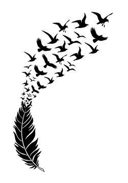 Black feather silhouette with flying birds, illustration over a transparent background, PNG image